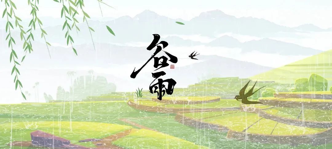 藏在二十四節(jié)氣里的食與味 - 谷雨茶之零咖啡因新茶選擇